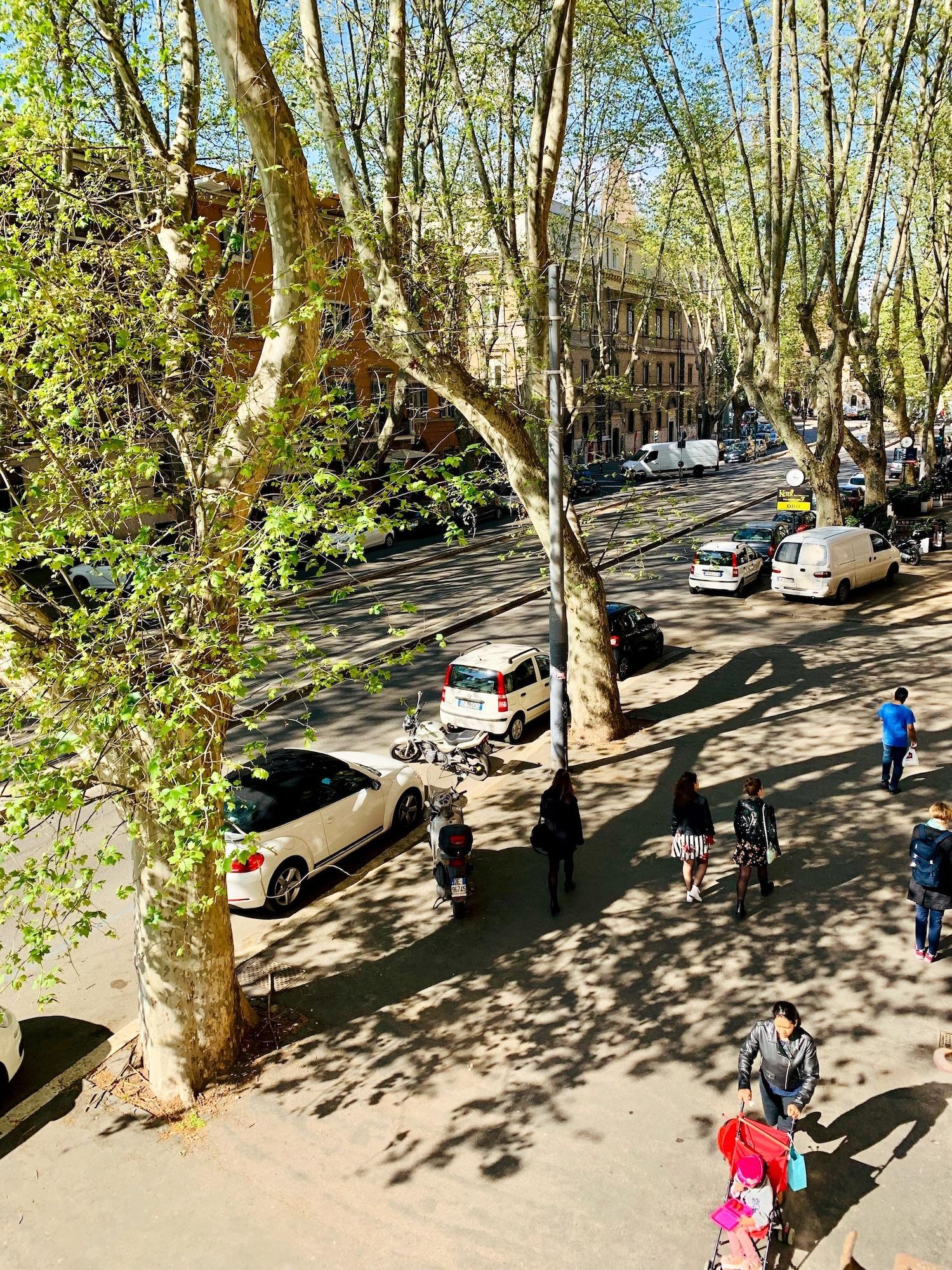 Affittacamere Trastevere Royal Roma